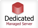 Dedicated managed Server